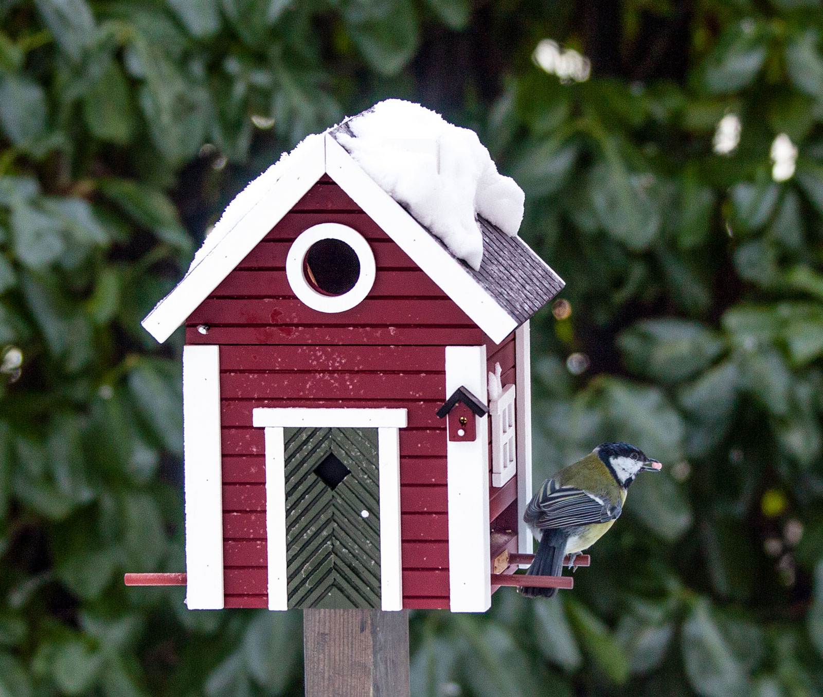 Wildlife Garden Multiholk Vogelhaus Schwedenkate