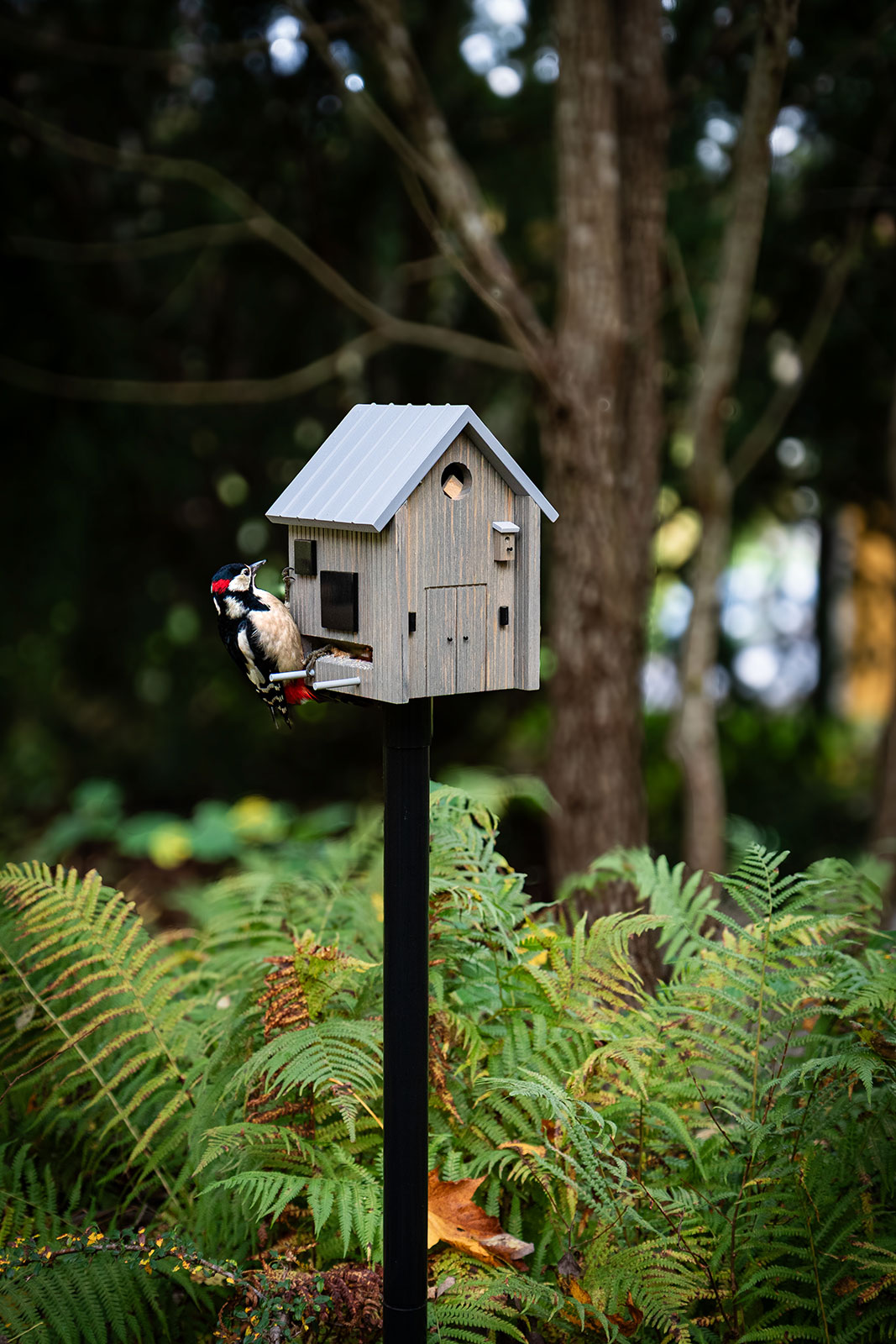 Wildlife Garden Multiholk Vogelhaus Nordisch Modern