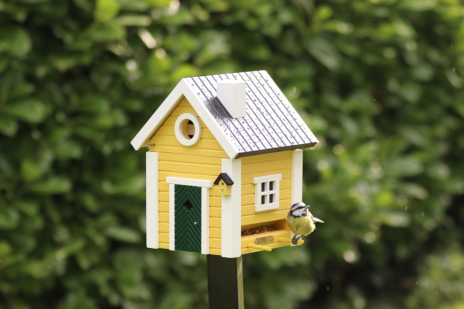 Wildlife Garden Multiholk Vogelhaus Villa