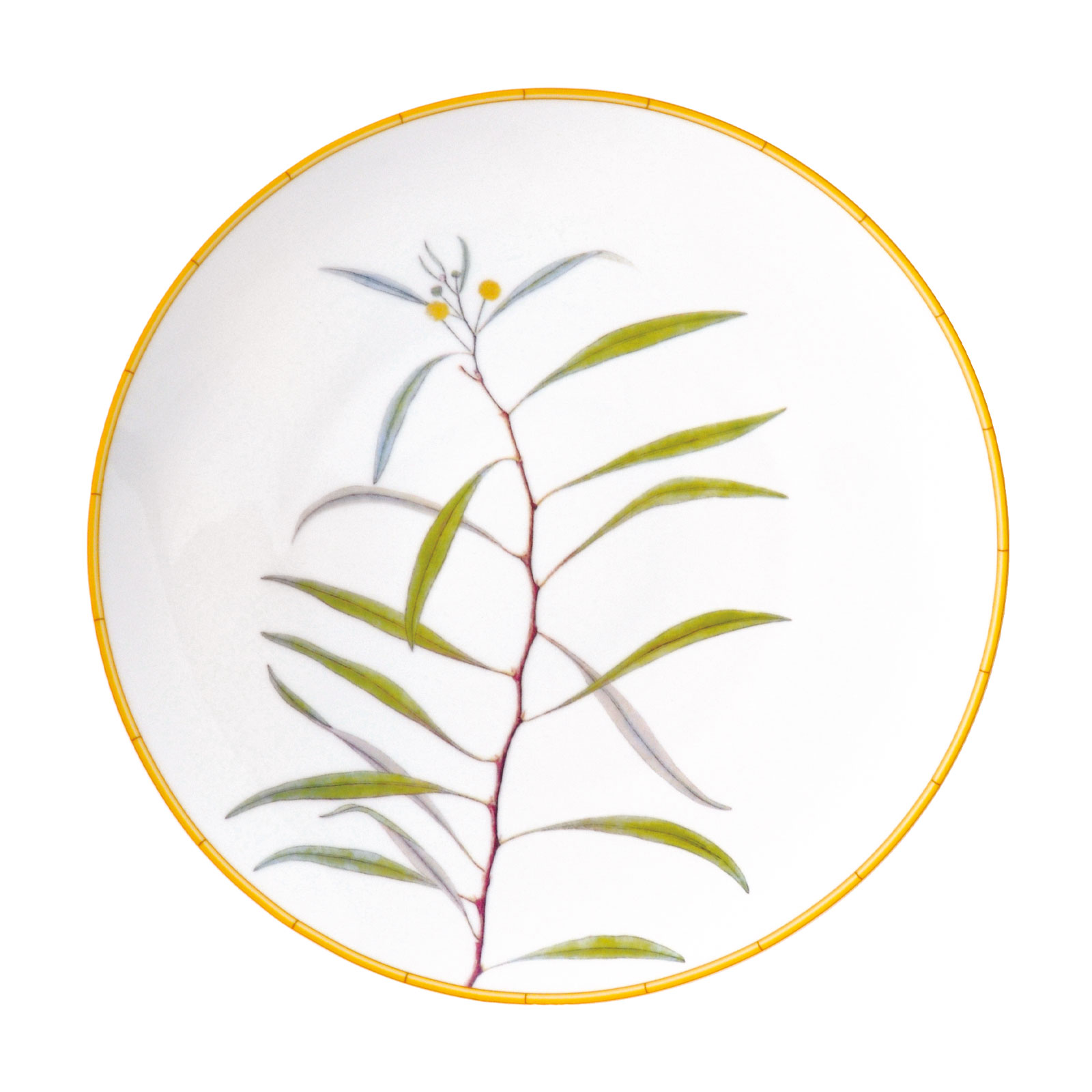 Bernardaud Jardin Indien Speiseteller 27cm