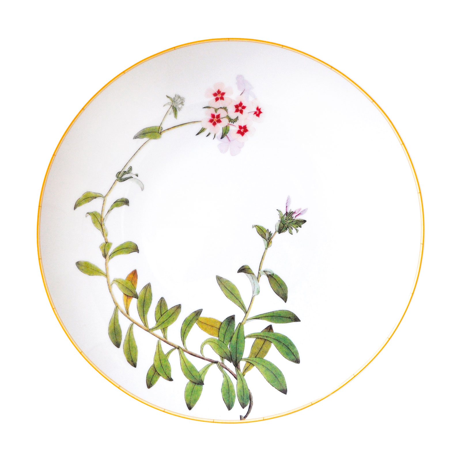 Bernardaud Jardin Indien Platte rund tief 29cm