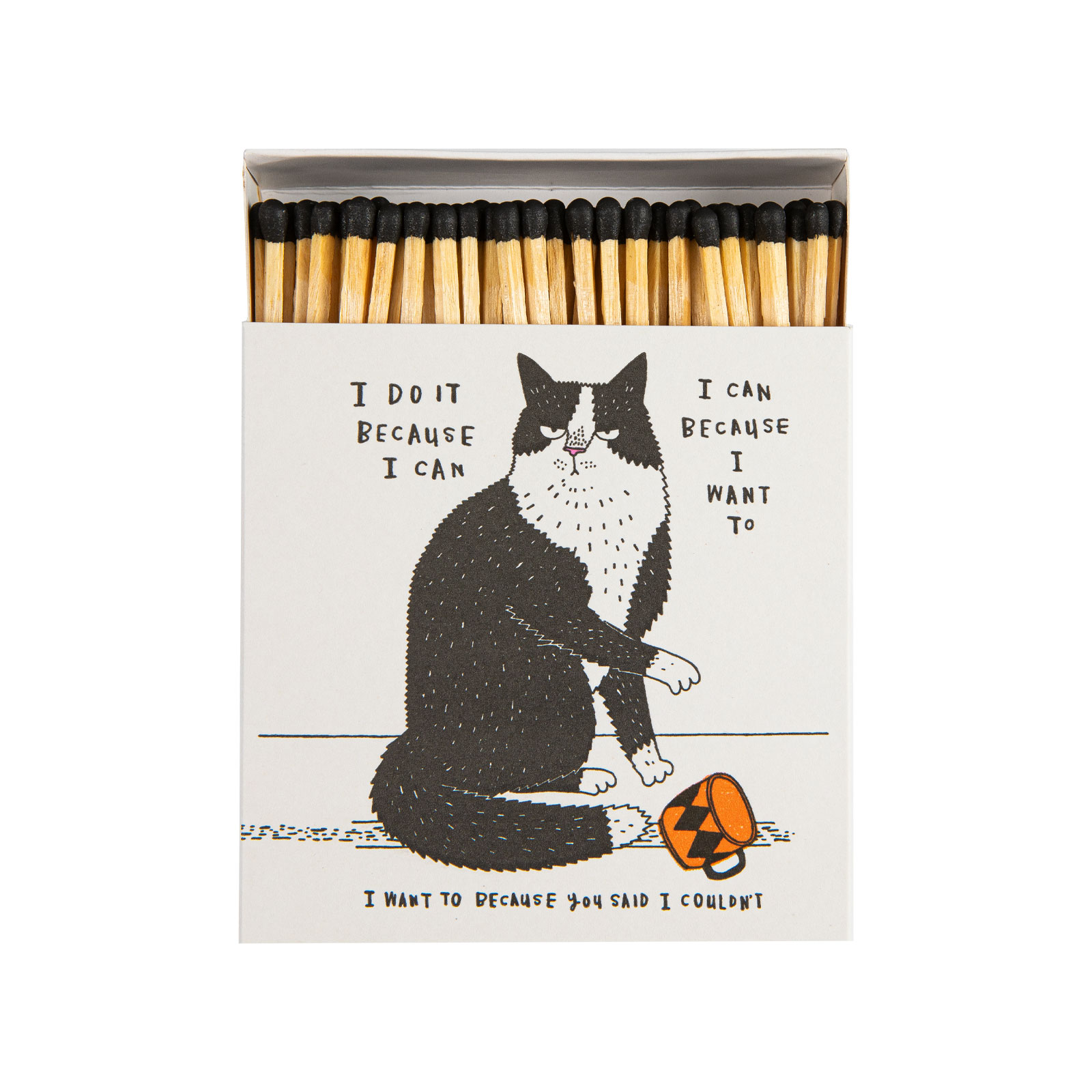 Archivist Streichhölzer I Do it Because I Can