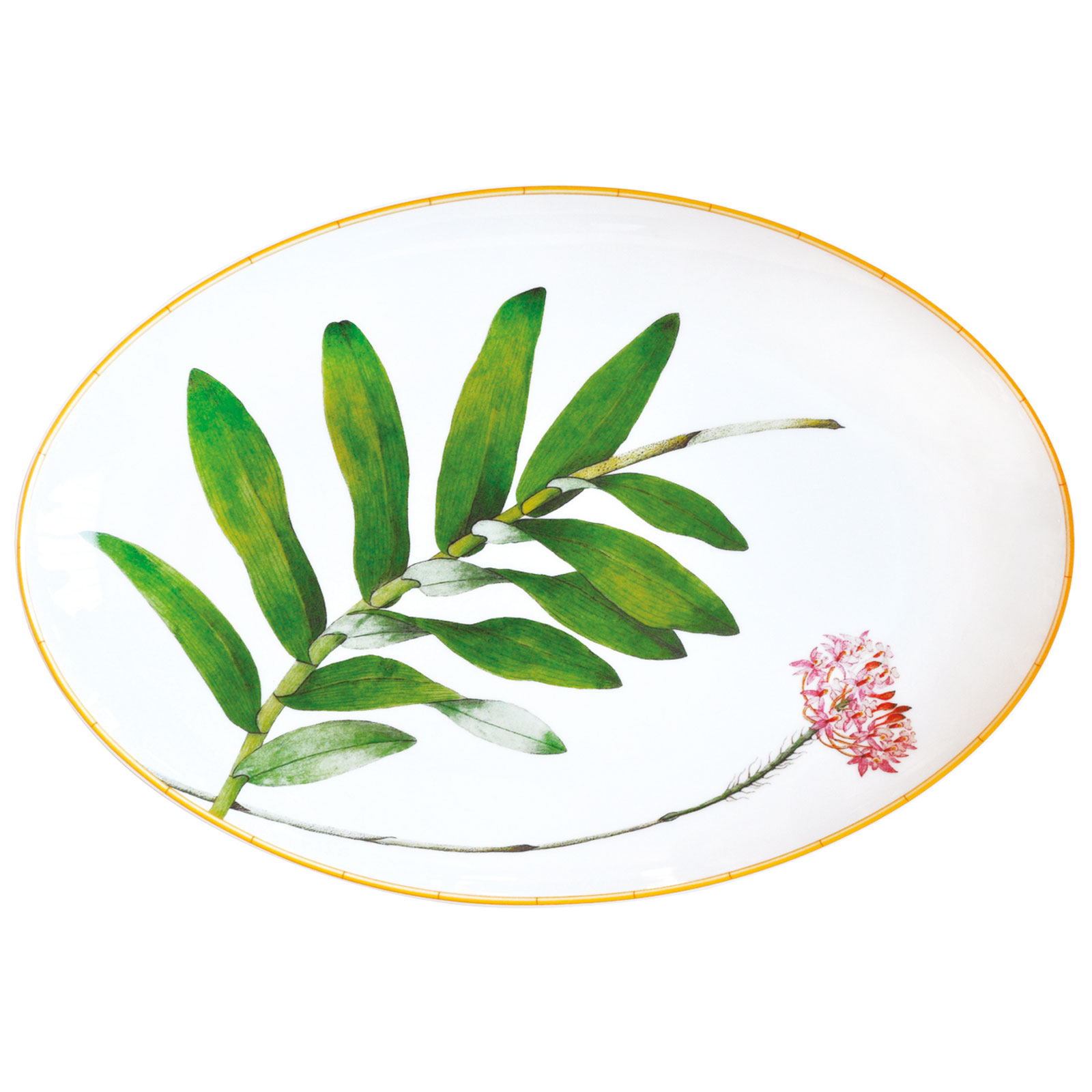 Bernardaud Jardin Indien Platte oval 38cm