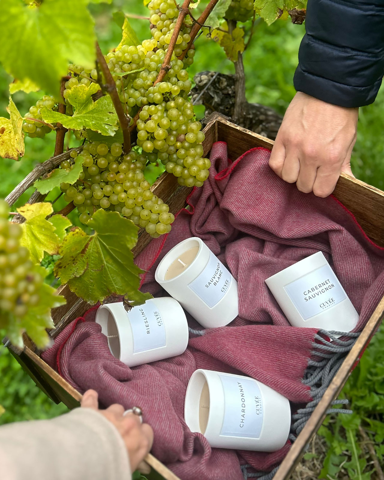 Cuvee Candles Riesling Duftkerze