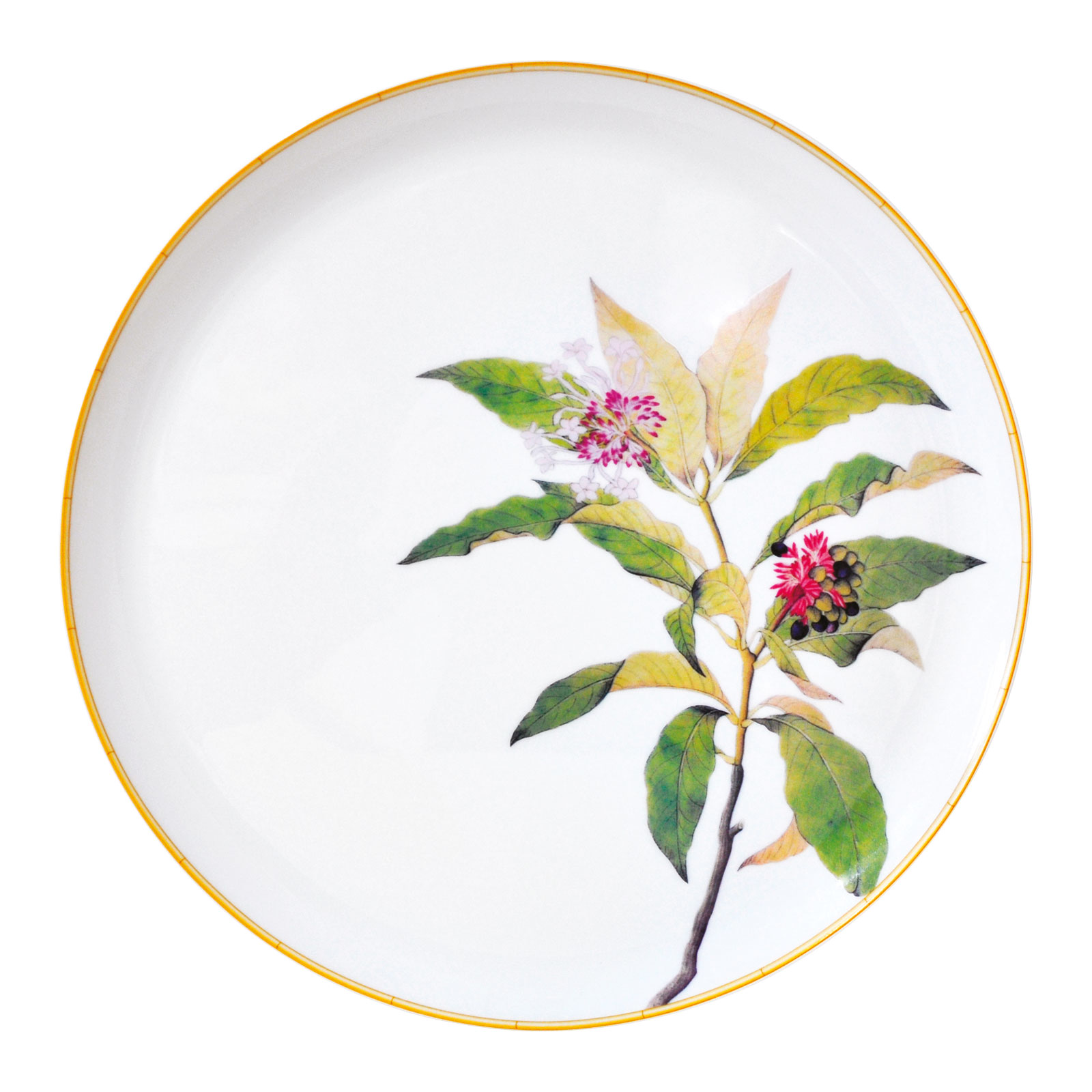 Bernardaud Jardin Indien Tortenplatte 32cm