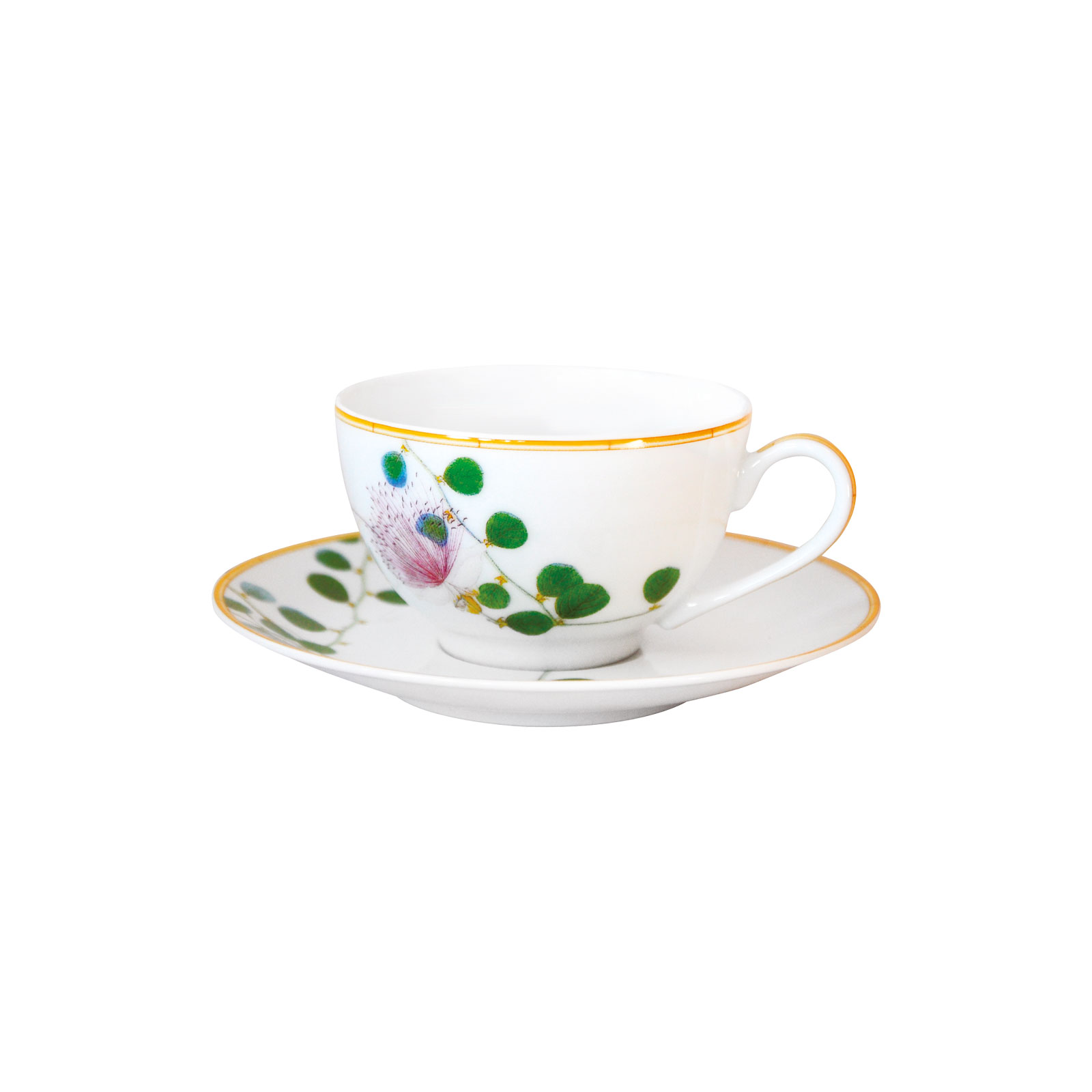Bernardaud Jardin Indien Kaffee-/Teetasse m. U. Stück 0,13ltr