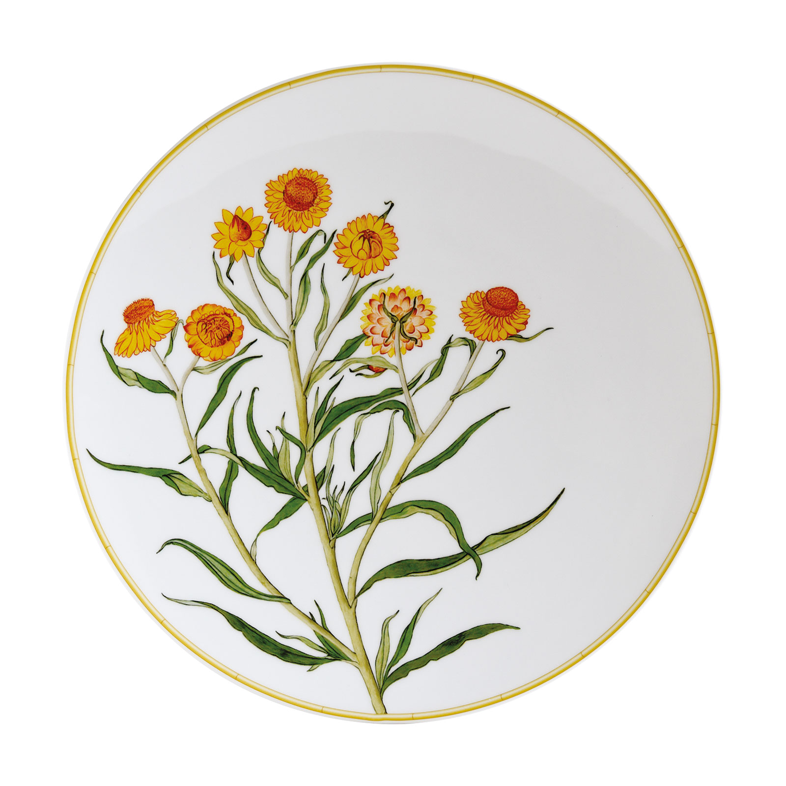 Bernardaud Jardin Indien Speiseteller 27cm Bergenis